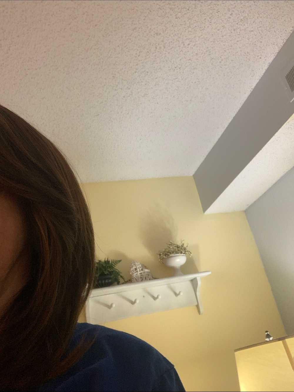 Reddish straight wig w highlights